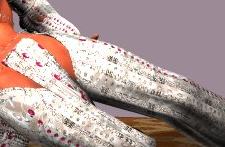 &nbsp;